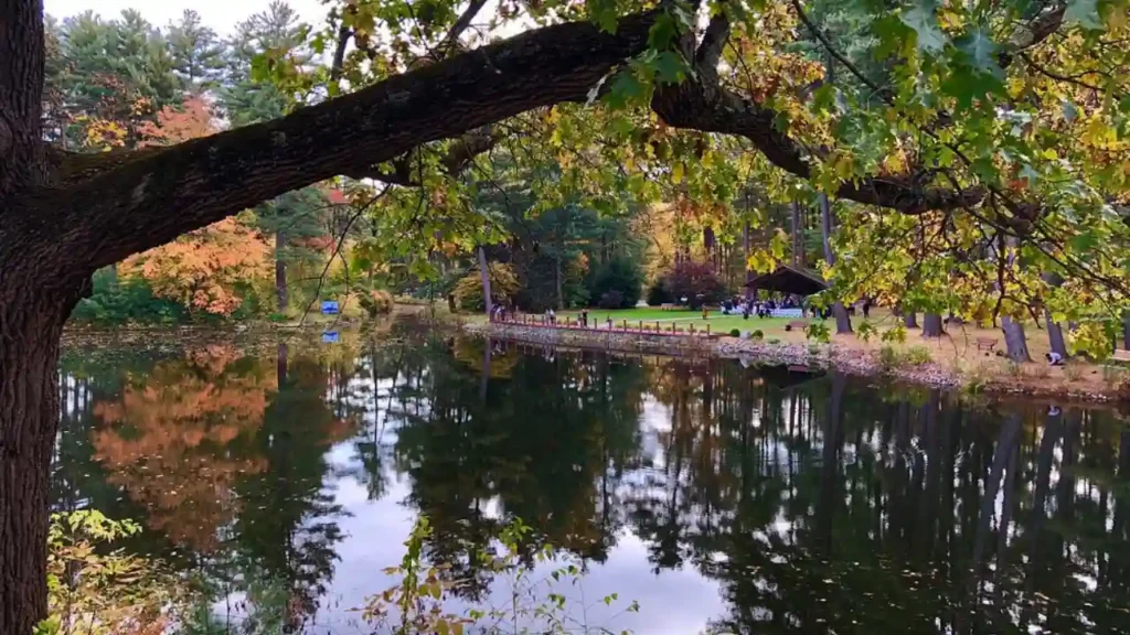 Look Memorial Park